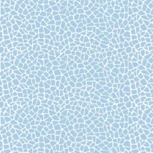 1-53105067950347-64575330386187.jpeg