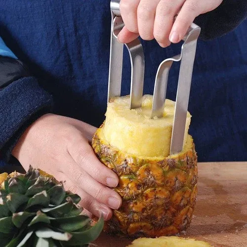 Stainless Steel Easy Quick Pineapple Cutter - Image 0