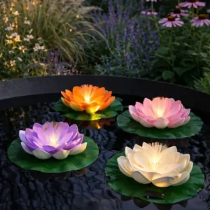 Lotus mit Solar - Verschiedene Farben