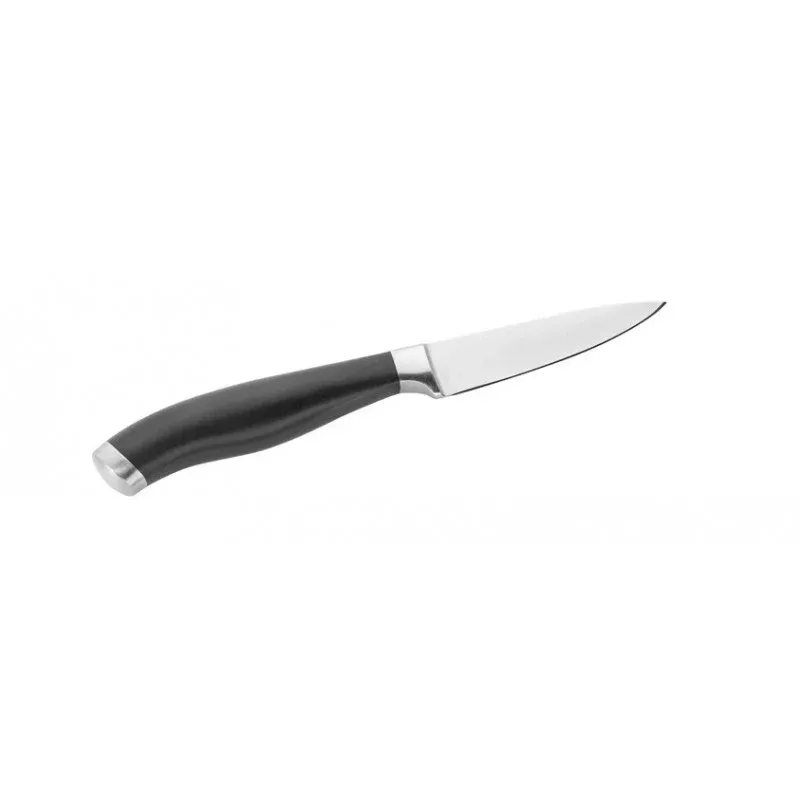 Spelucchino Professionale, Lama 10 cm - Pintinox