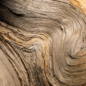 Duschrückwand-Geschwungenes Naturholz