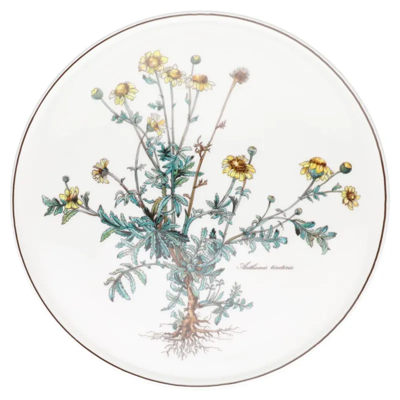 Tortenplatte Anthemis tinctoria