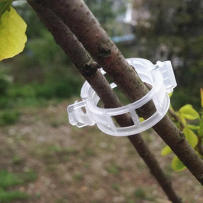 Green Garden Safe Plant Support Clips - Image 0