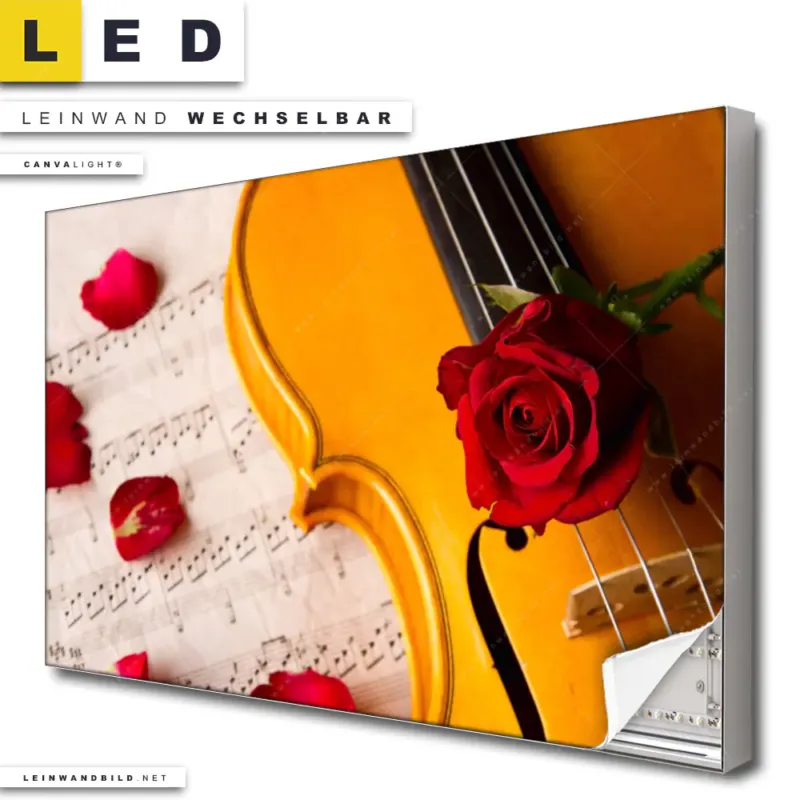 Led Leinwandbild Violine Rose Querformat Produktvorschau